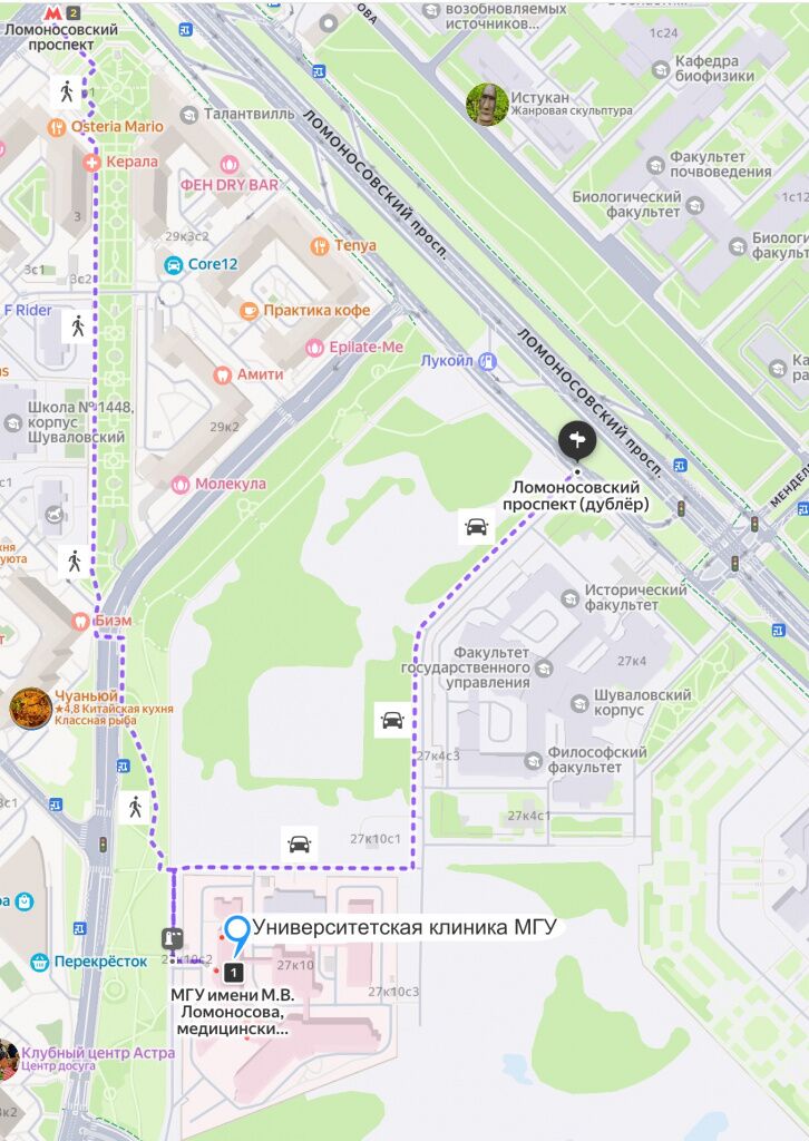 Университетская клиника МГУ